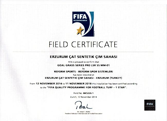 FIFA 24 fifa1 erzurum sentetik cim sahasi 2014