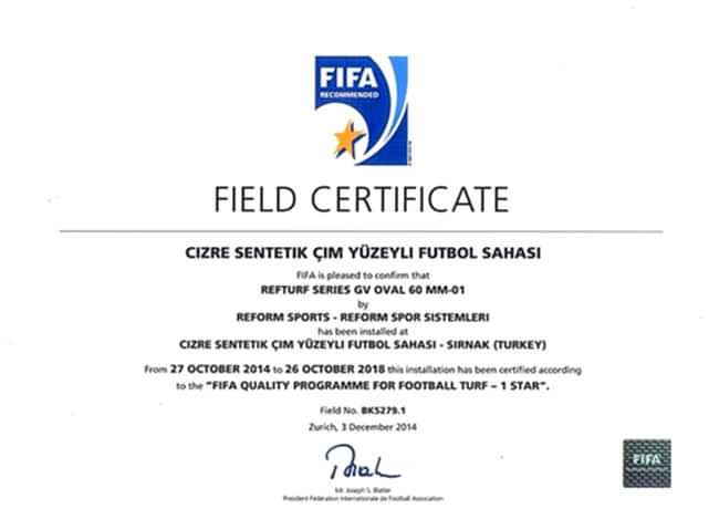 FIFA 25 fifa1 cizre sentetik cim futbol sahasi 2014
