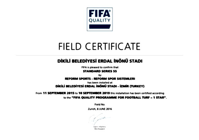 FIFA 31 fifa1 dikili belediyesi erdal inonu stadi 2016