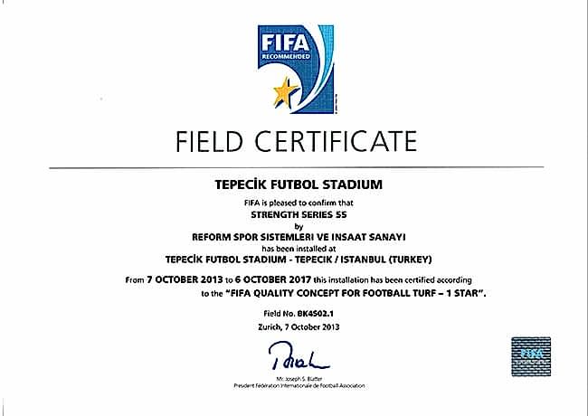 FIFA 4 fifa1 tepecik stadyumu 2013
