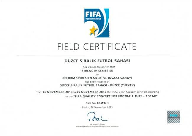 FIFA 6 fifa1 duzce siralik futbol sahasi 2013