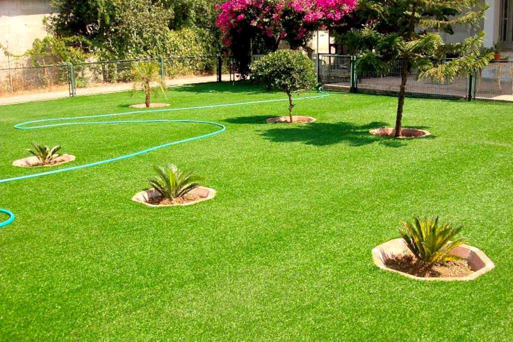 Altan Macila (Kıbrıs) altan macila bahce peyzaj 2
