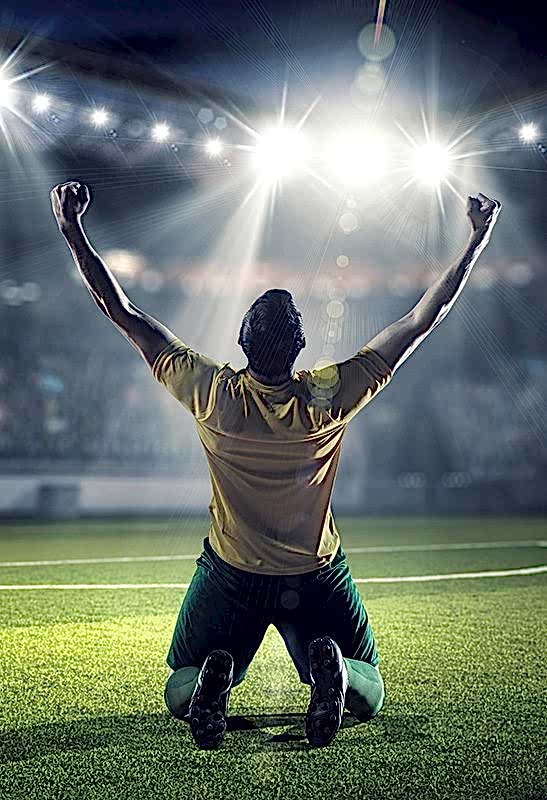 FIFA fifa page banner dikey 2
