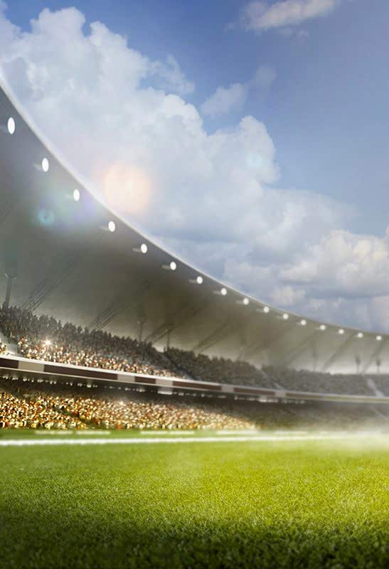 FIFA fifa page banner dikey 3