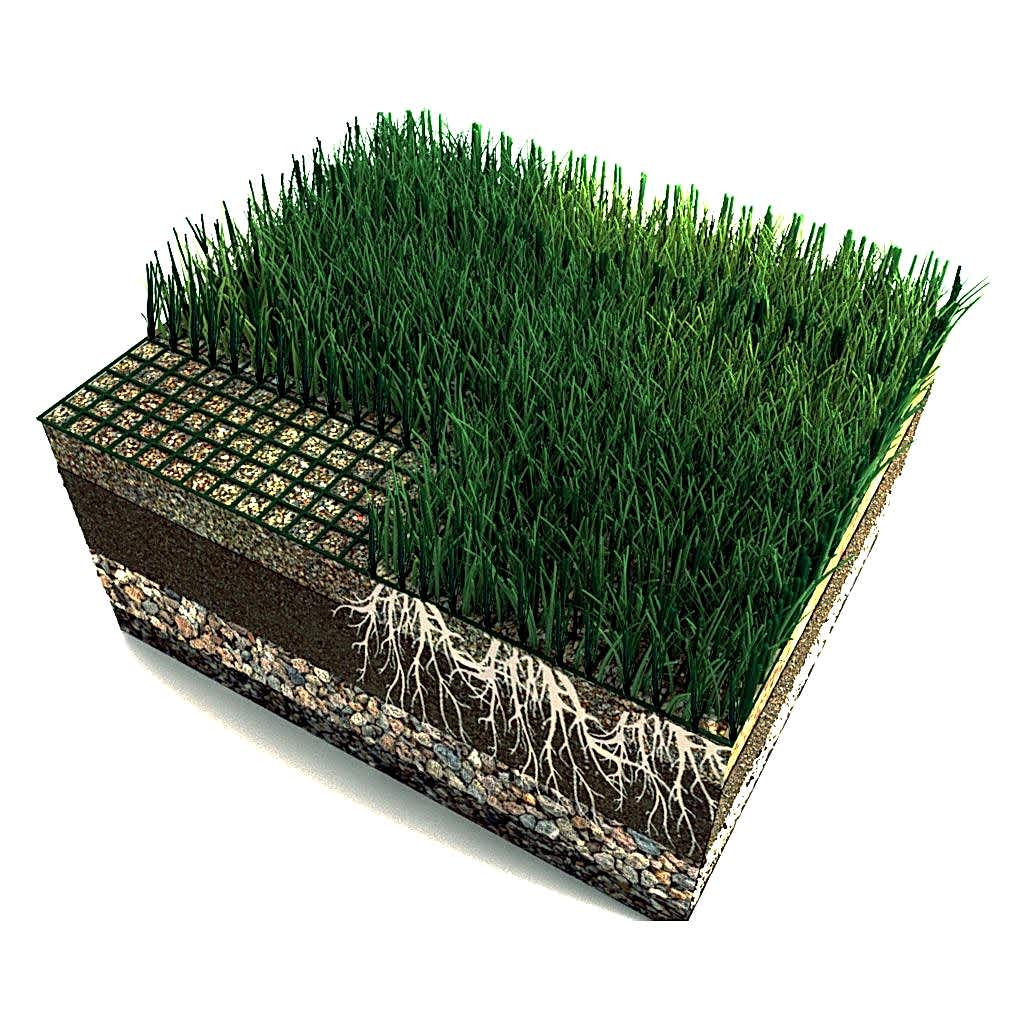 Hibrit Çim hybrid grass nw 002