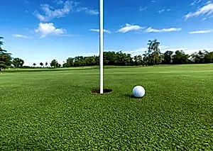 8 golf sahalari