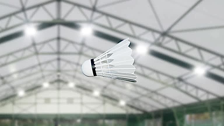 badminton topu Badminton Topu